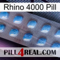 Rhino 4000 Pill viagra3